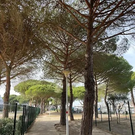 Apartment Joli - Port Camargue - Sud