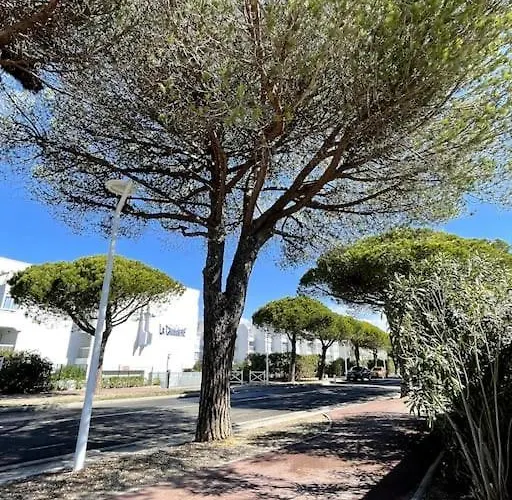 Joli - Port Camargue - Sud *
